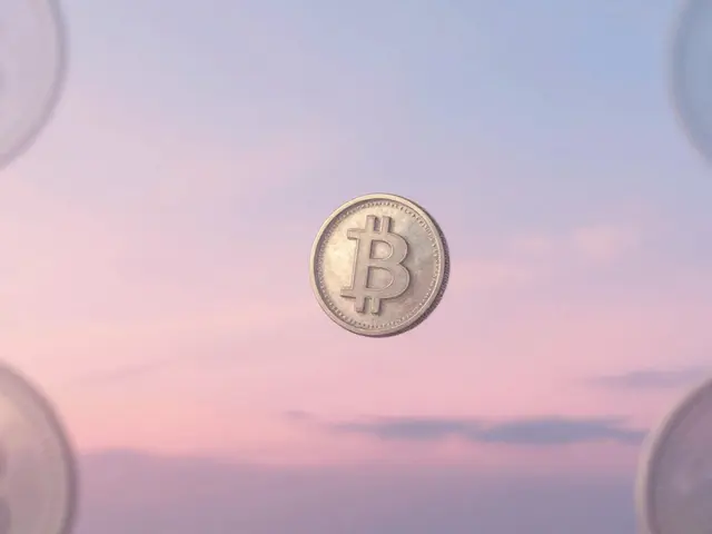 What is Moonlana (MOLA) crypto coin? A clear breakdown of the Solana meme coin